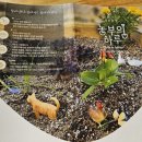경북 포항 아이와 주말 힐링 나들이 체험형 농장 카페 농부의 하루