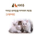 이리온 이미지