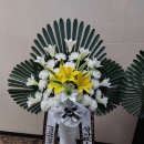 전국공무원노동조합 부산지역본부 강서구 이미지