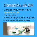 에이치행정사사무소 이미지