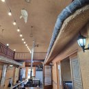 마당오리 이미지