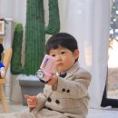 멍멍아 까꿍 | 부산 아기 두돌사진 실내부터 야외컨셉까지 귀여움주의 | 부산 숲속 사진관 | 두돌 스냅 촬영 후기