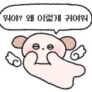 토마토펜션A