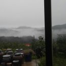 산위에 사과