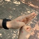 [일상] 2025년 06월 아이폰 사진첩 털이 - ①