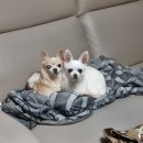 프로미월드 김천점 이미지