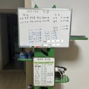 강동빈대떡 | '영월 아리아리 숲속 야영장'에서의 2박 3일 우중캠핑! (1번 사이트, 예약, 한우, 아리아리 빈대떡 ...)