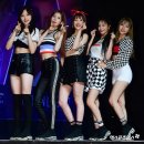 펀치 카카오 검색결과