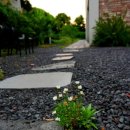 비로소433 이미지