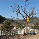 더 휴 펜션 이미지