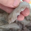 덕영수산 이미지