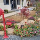 화왕산오토캠핑장 이미지