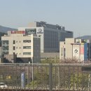 놀러갔다가 삼만보 걷고 온 썰 ㅍ푼다..