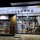 핫독애견용품 네이버블로그
