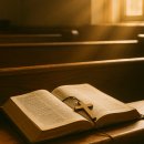 삼기약국 이미지