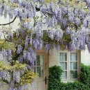 시골가든 이미지