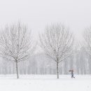 늦게 피는 꽃 이미지