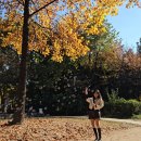 서울숲피크닉 돗자리 대여 후기 🍁/ 뜨리에이치(피크닉세트대여, 피크닉 장소, 음식포장, 포토존 등)