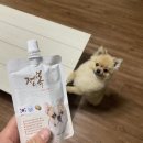 BOB 애견용품 아울렛 이미지