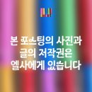 이문1마을마당 | 종로 가볼만한 곳-공평도시유적전시관 주차/체험안내