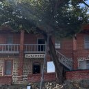 명란브랜드연구소 이미지