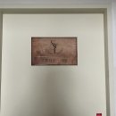 새얀기획