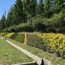 개화동로 이미지