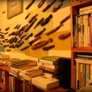 나무물고기 이미지