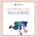 석촌동마취통증의학과 허리가 자주 삐끗하는 당신 이미지