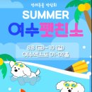 친솔
