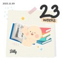 순천평화병원 | [11월 일상] 임당검사/정밀초음파/여수&amp;순천 여행/장염 후기