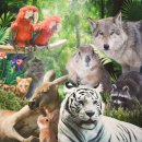 덴바스타 랜드 이미지