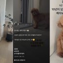 주사발 - 음성군 장감로 140 | 주사발