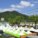 정선5일장 둔치주차장 이미지