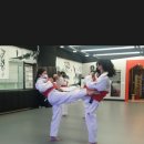 동경태권도 도장 이미지