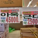 1004청과 이미지