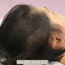 릿따 스타일 이미지