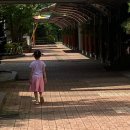 바이오탑 | 유산균 말고, 낙산균? 프로바이오틱스 바이오탑 아이세립 후기(ft. 마이쮸 딸기향)