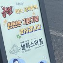 샐룩스학원