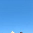 영남카정비 이미지