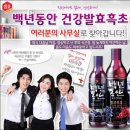 백년동안 국민일보