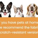 자연의 의자 이미지