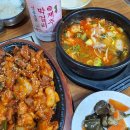 갓파가 좋아하는 막걸리 비교 시음기 - 제주막걸리, 송명섭막걸리, 꽃잠, 정고집 동동주