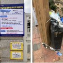 화양초교 후문 이미지