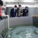 수진수산 이미지