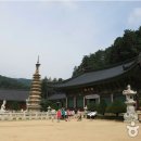 건수목장 이미지