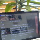 갈비예찬 | 남양주 진접오남 갈비예찬 돼지갈비 맛집 후기 가족 외식 추천