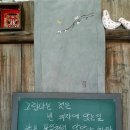 하루꽃 이미지