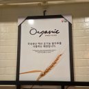 프랑세즈 | 중앙대 흑석역 근처 선물용 빵집 추천! 프랑세즈 베이커리 솔직 후기+슈톨렌 선물 후기까지!!