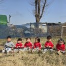 보람아트브레인어린이집 이미지